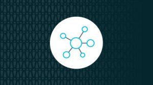 Vin-Solution-Icon-Networking