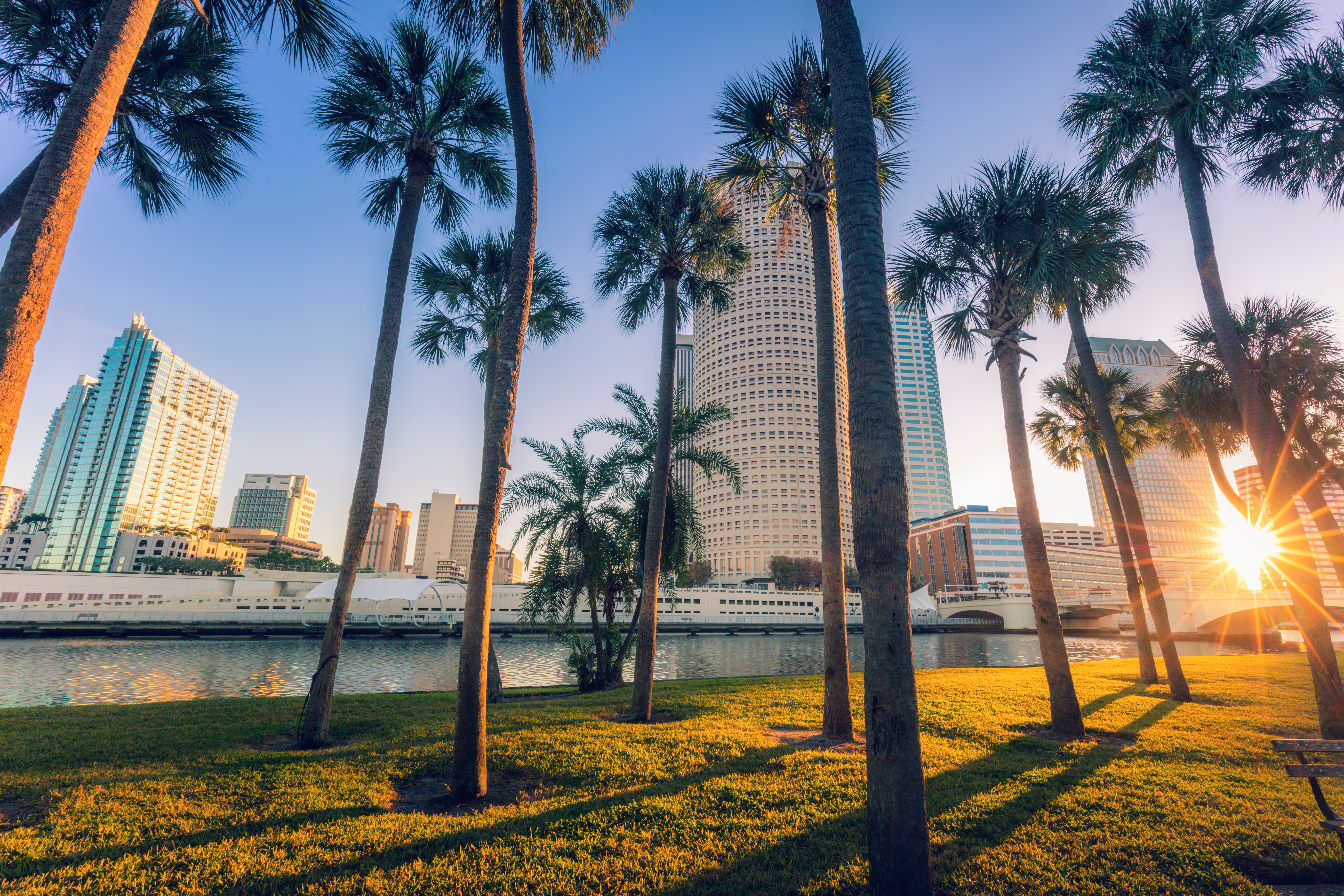 Tampa Client Workshop